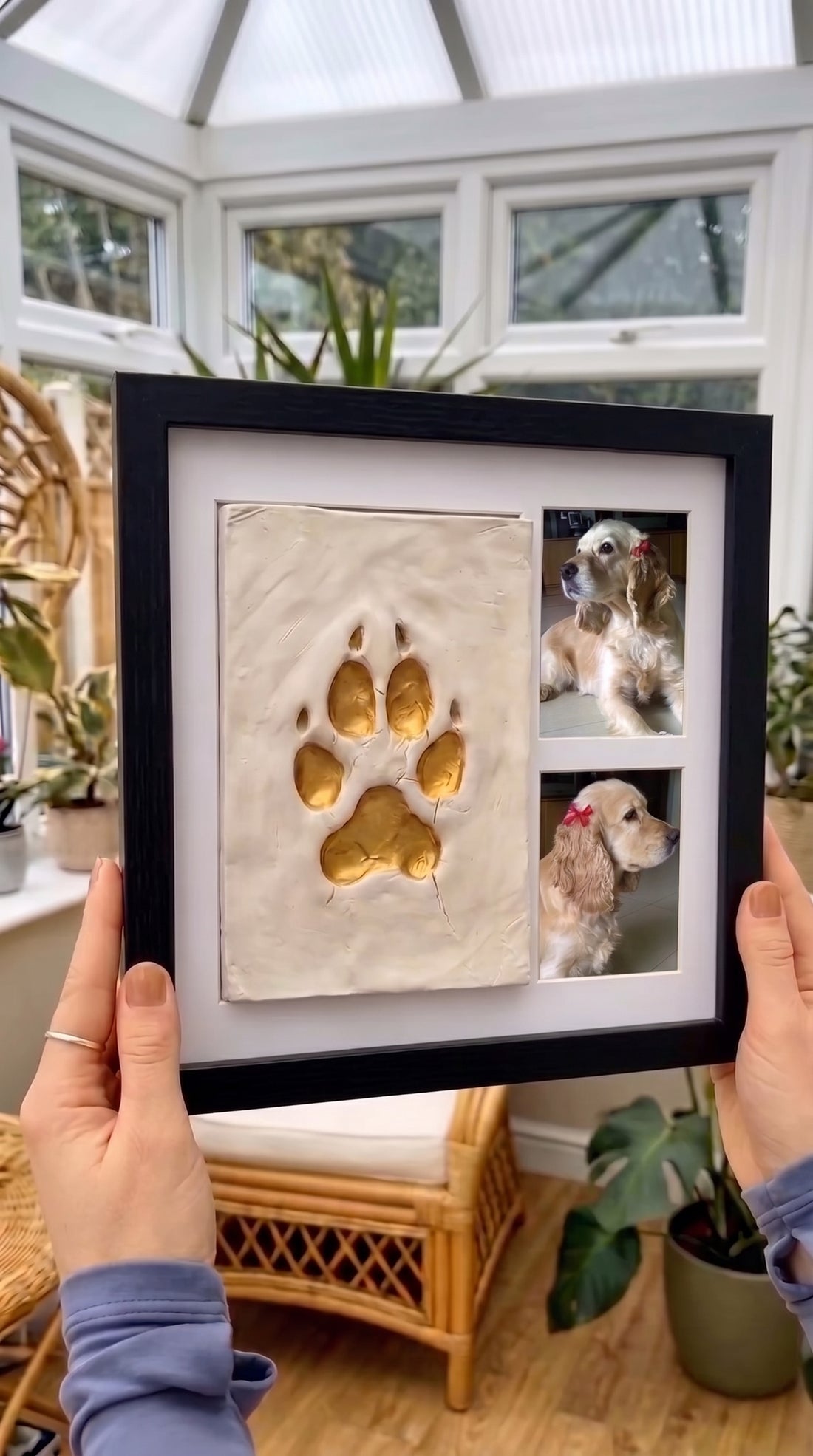 Marco negro con la huella dorada y dos fotos del perro con lazo rojo