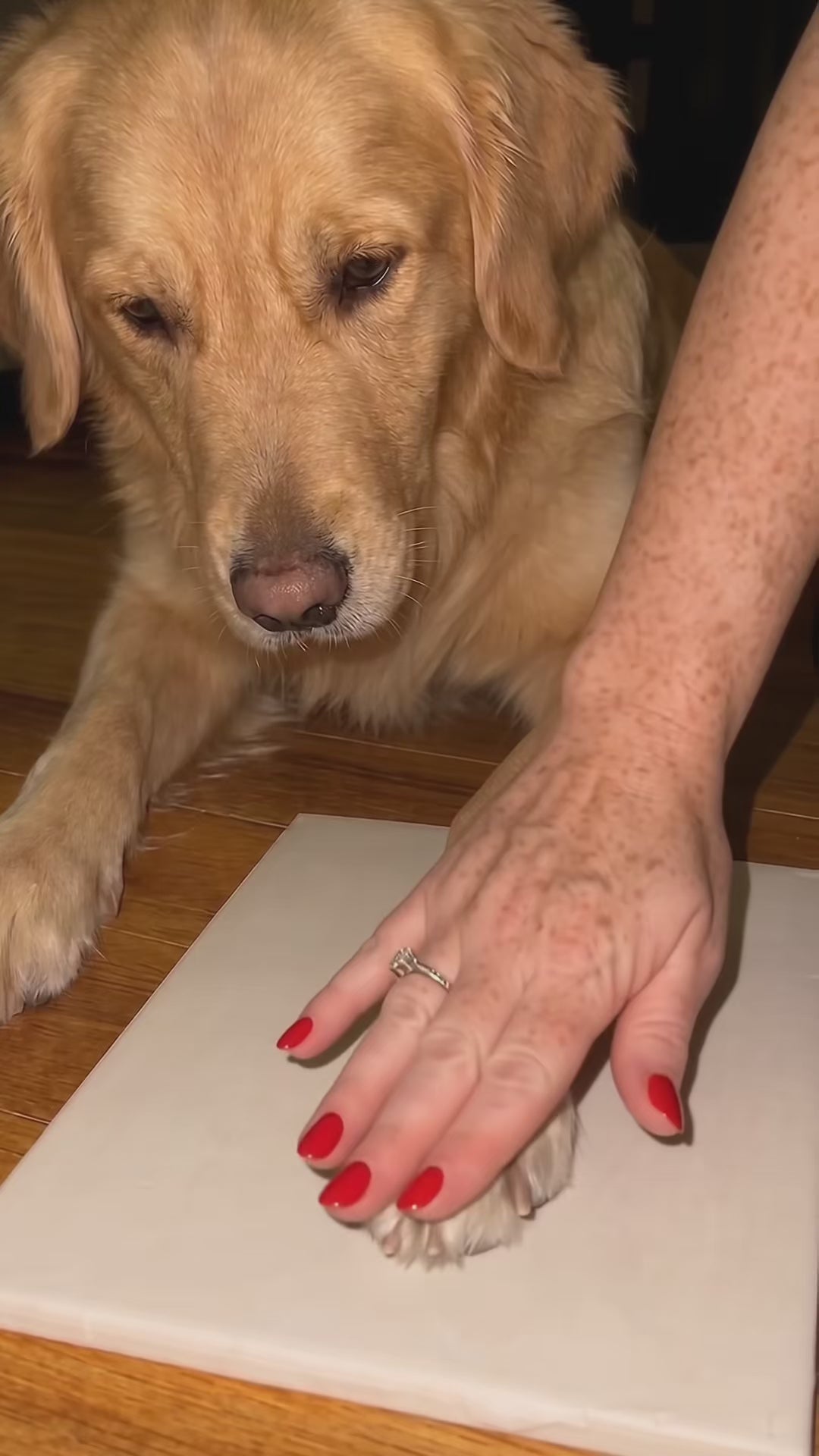 Vídeo del kit Huella de Keyshapets